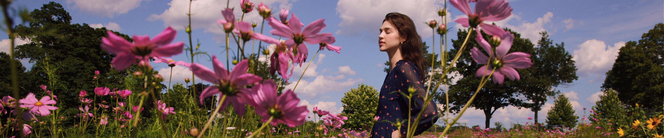 VIP Preview: The Fall Collection