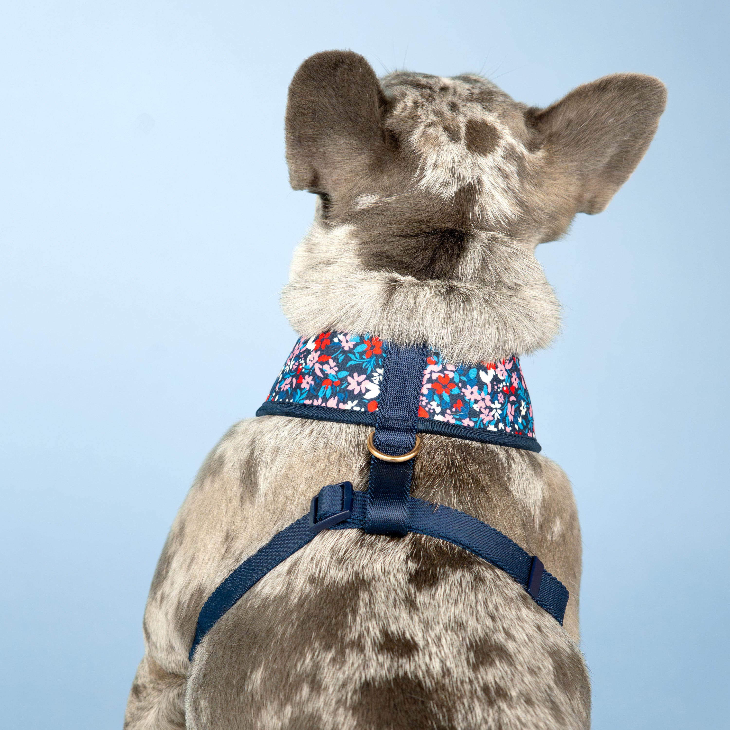 Reversible Dog Harness