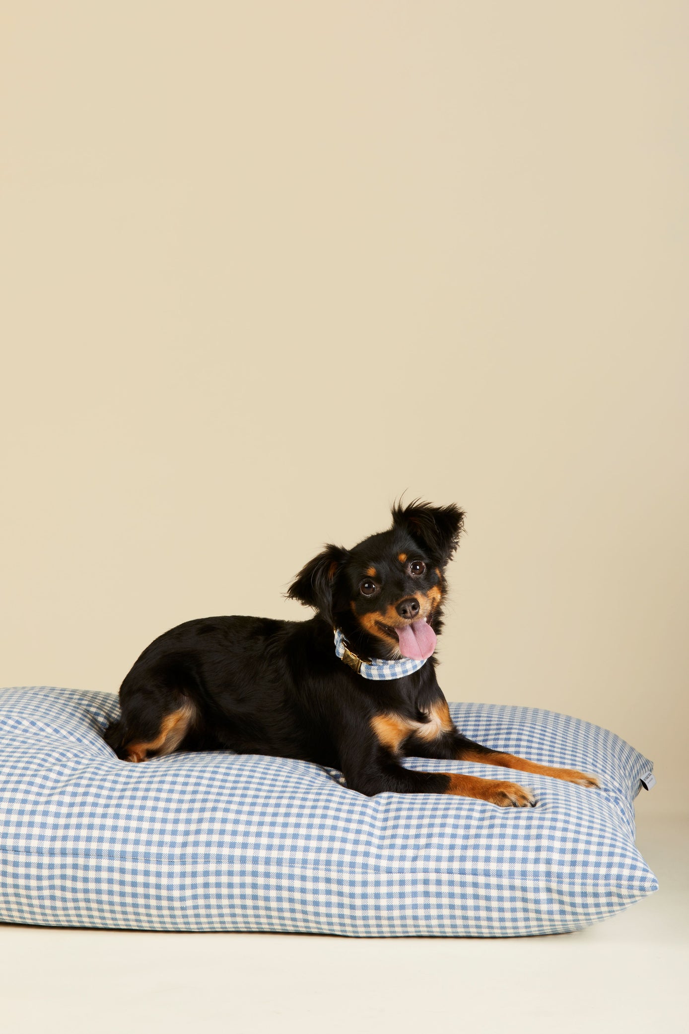 DJ X TFD Dog Bed in Blue Gingham