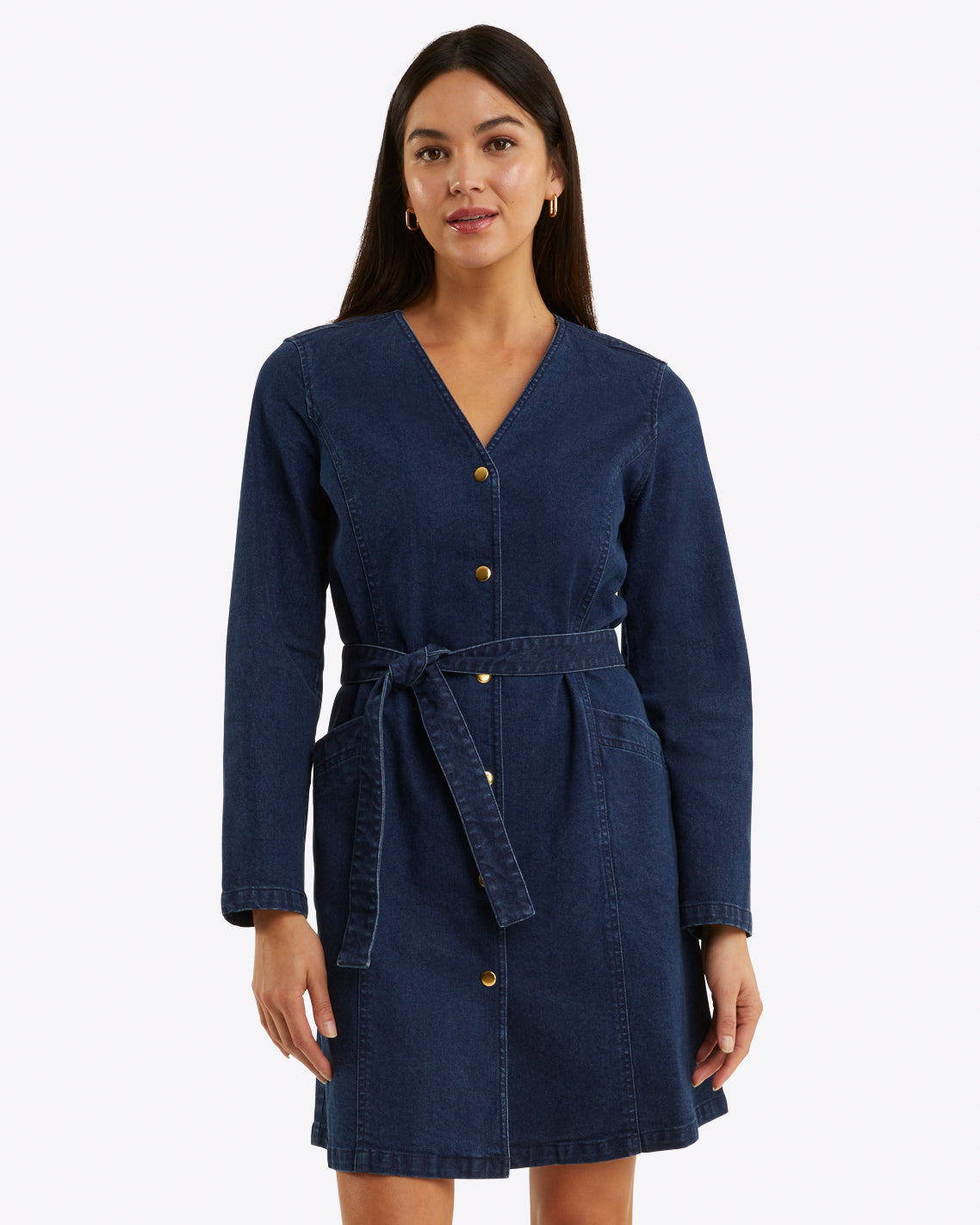 Colbie Snap Front Dress in Denim Dark Wash / XS