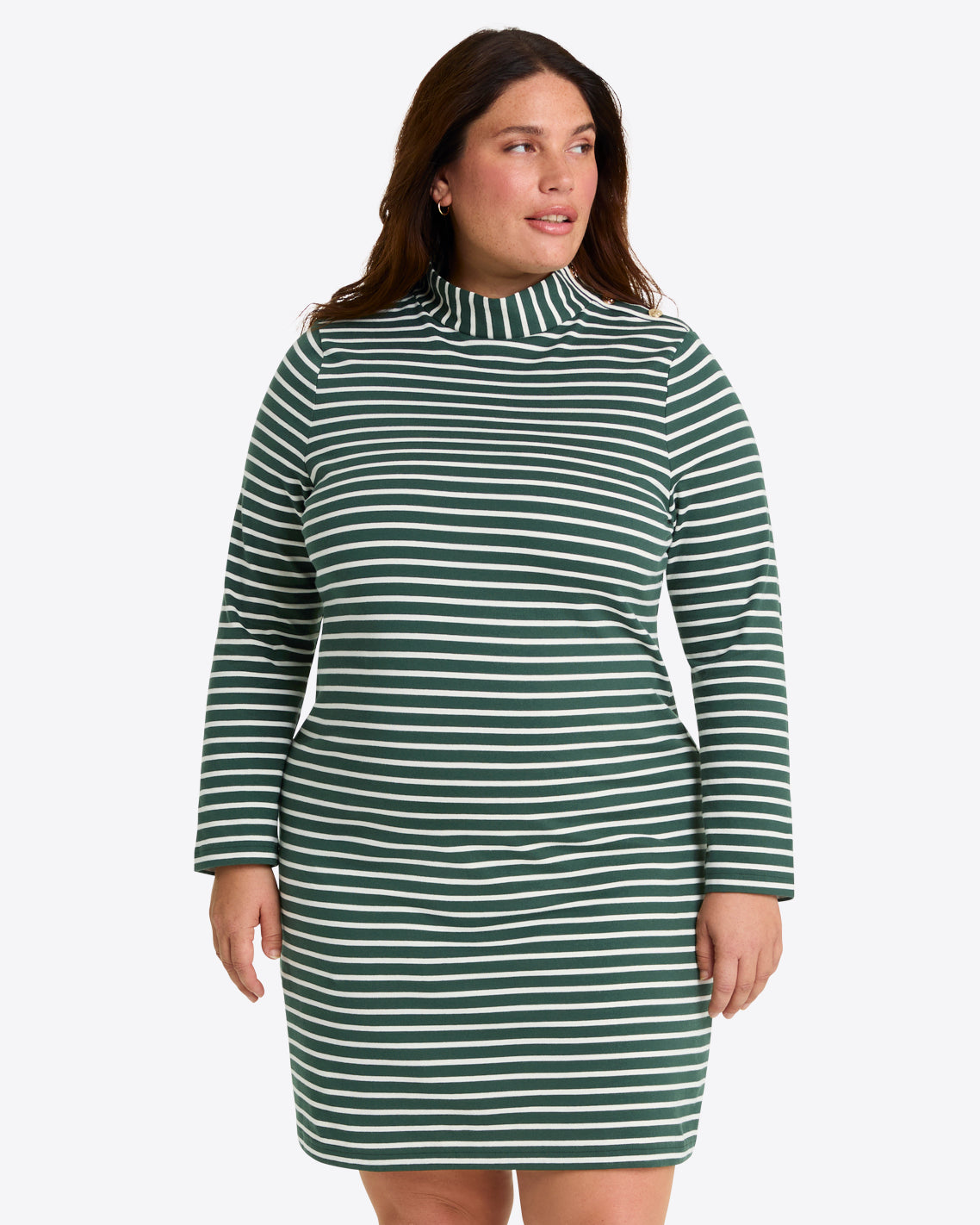 Elsie Turtleneck Dress in Green Stripe Green Mariner Stripe / 1X