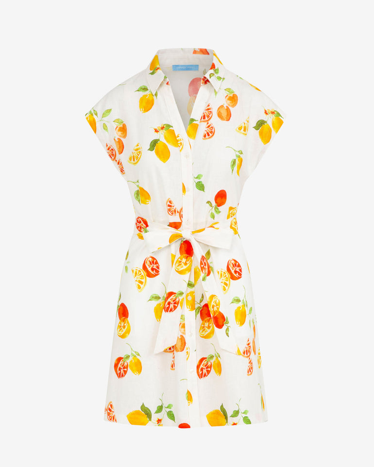 Trisha Citrus Print Dress
