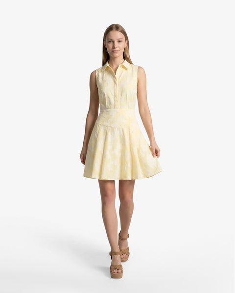 collared dress mini Brighton Mini Collared Dress in Striped Fil Coupe – Draper James