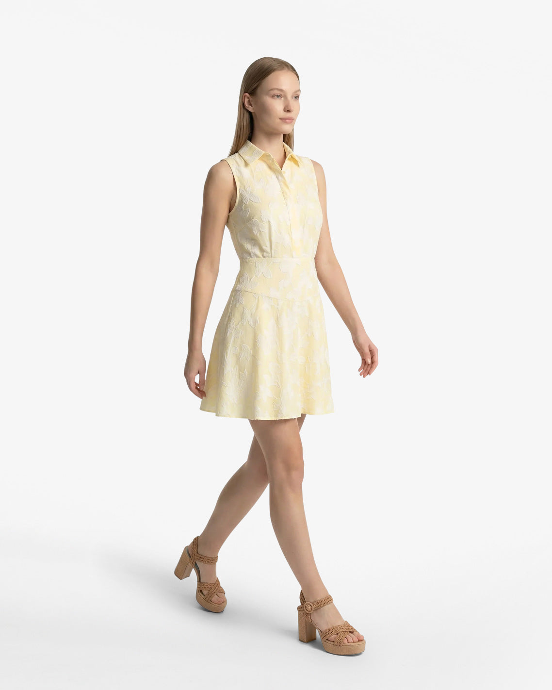 Brighton Mini Collared Dress in Striped Fil Coupe