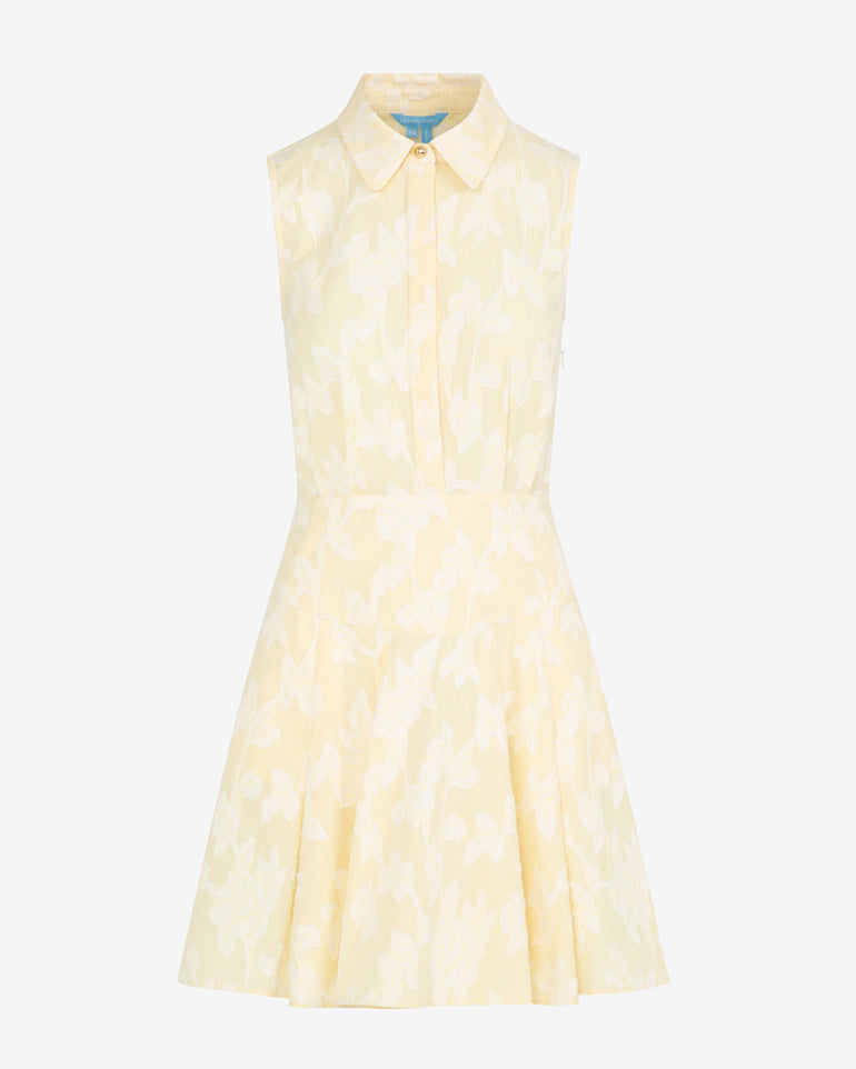 Brighton Mini Collared Dress in Striped Fil Coupe