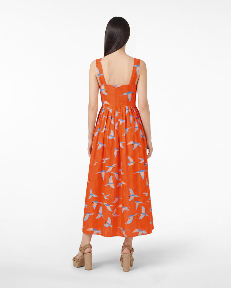 Esme Midi Dress in Parrot Print