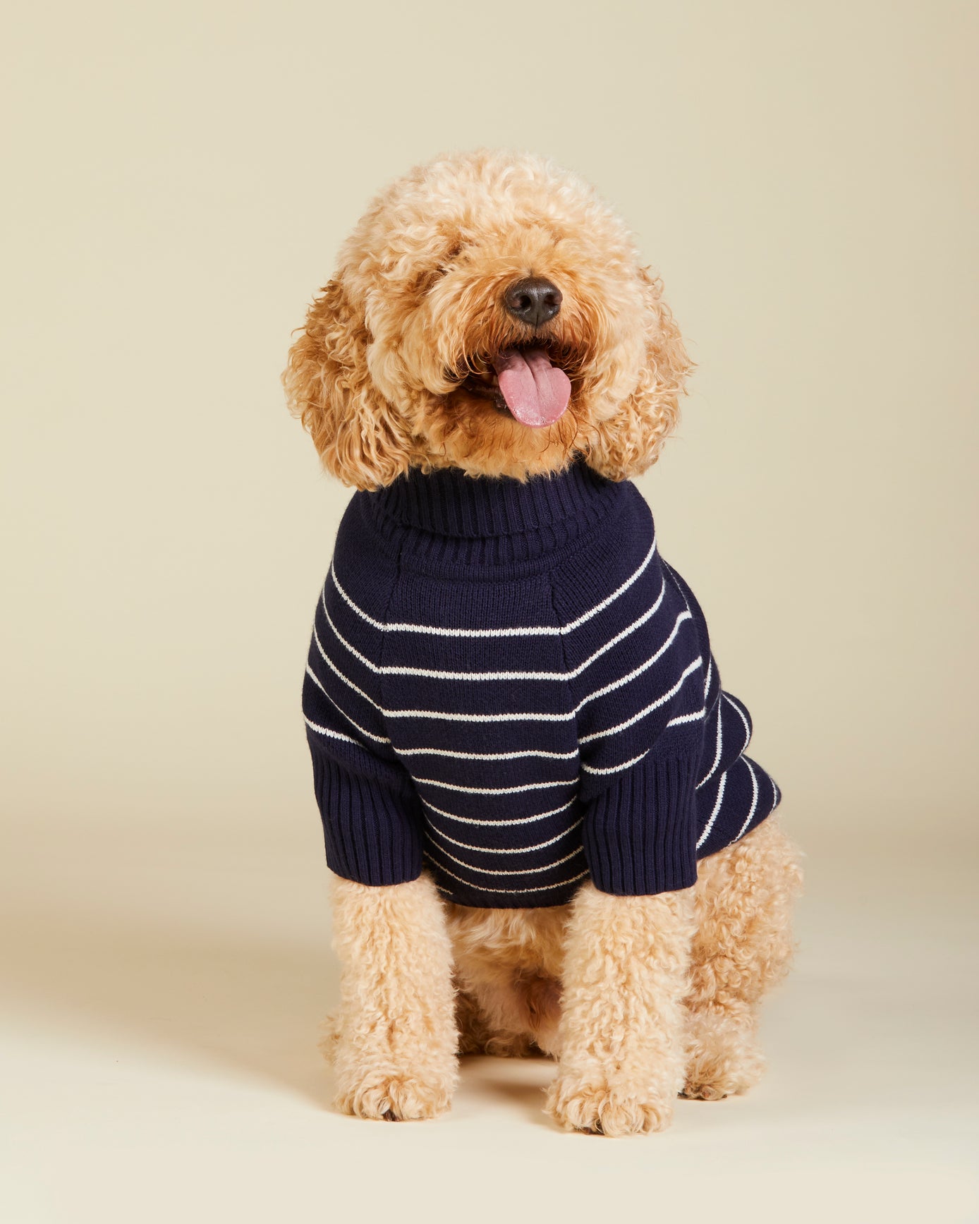DJ x TFD Dog Sweater in Mariner Stripe