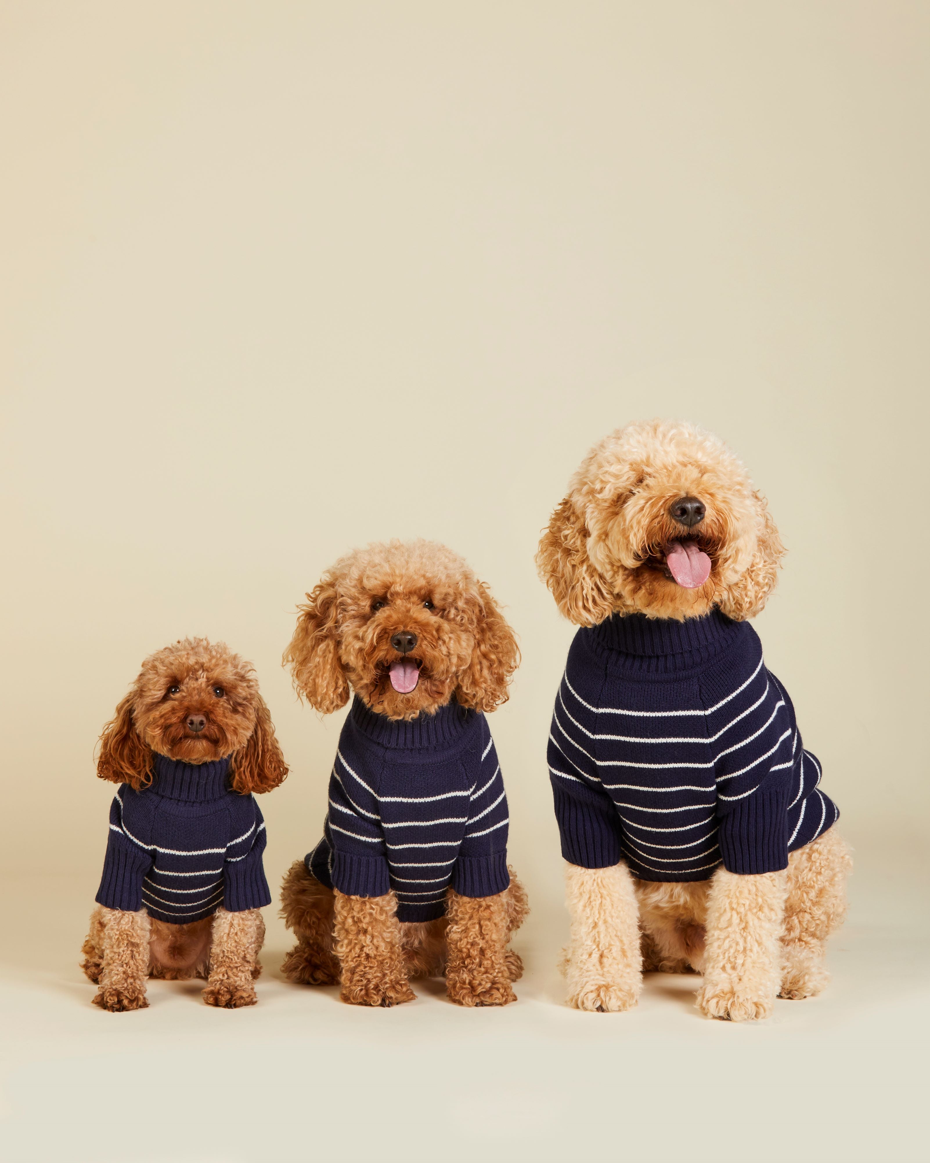 DJ x TFD Dog Sweater in Mariner Stripe Draper James