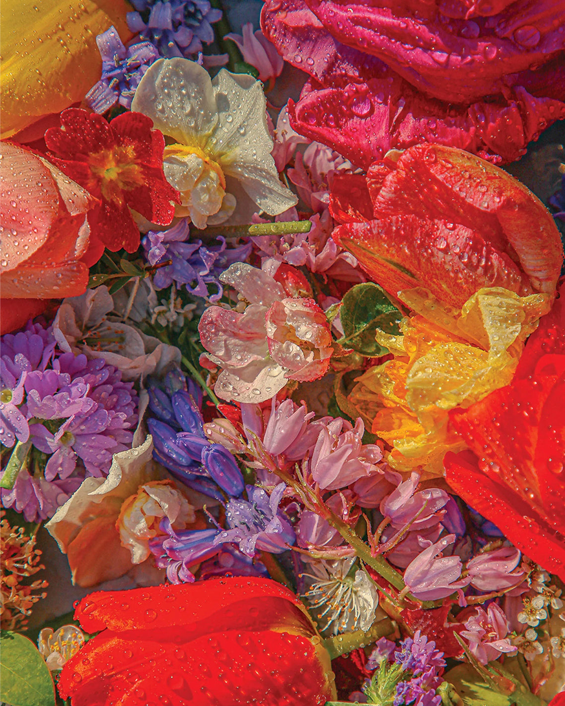 Blossom 1000 Piece Piece Puzzle