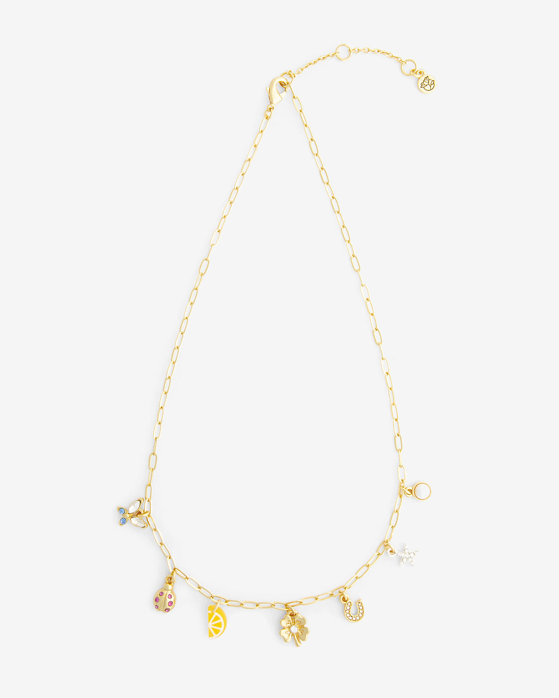 A Little Luck Charm Necklace