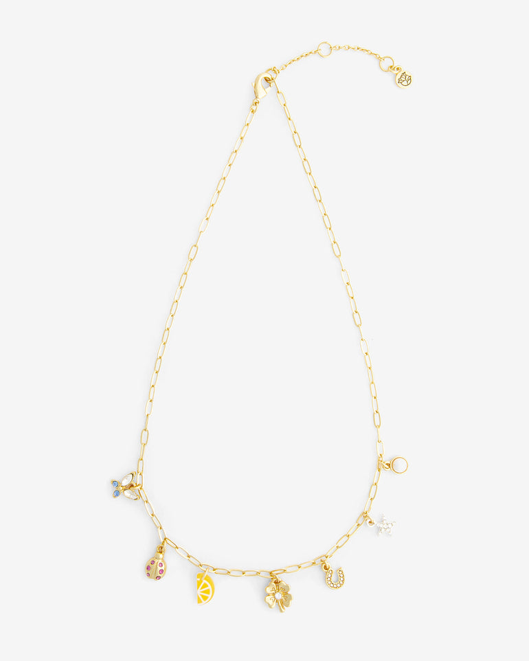 A Little Luck Charm Necklace