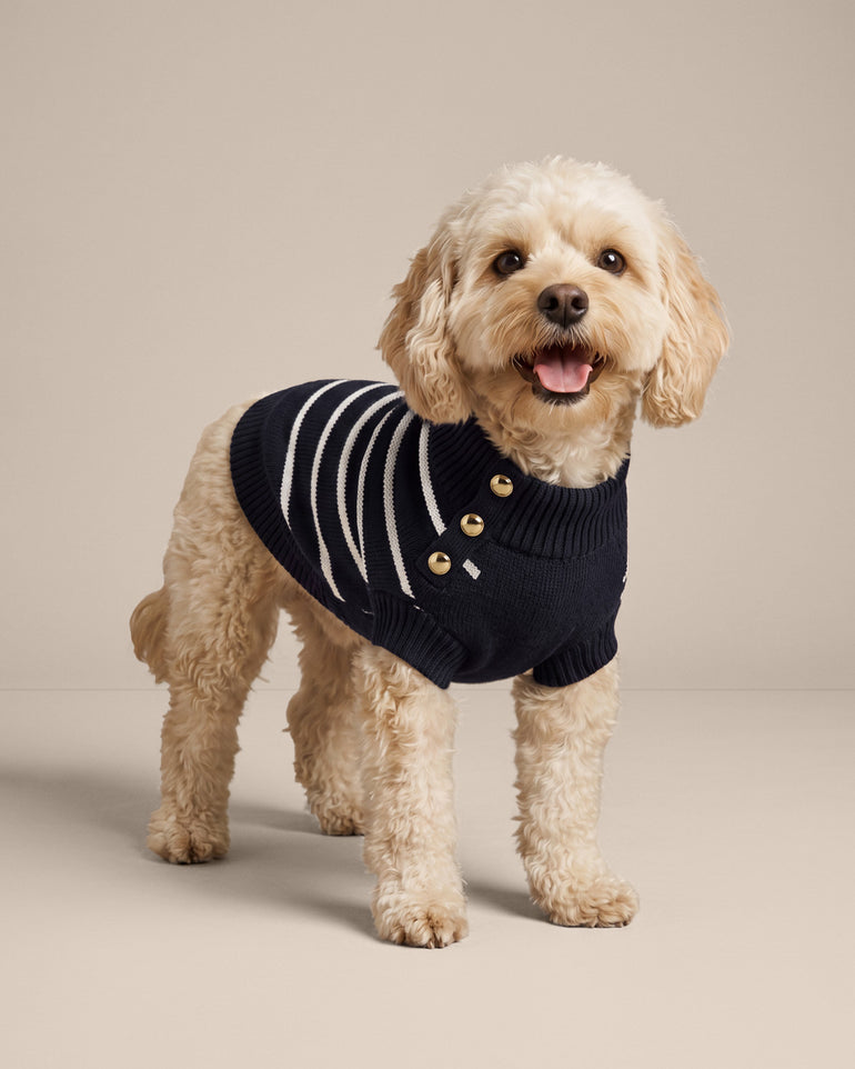 Dog Sweater in Navy Mariner Stripe