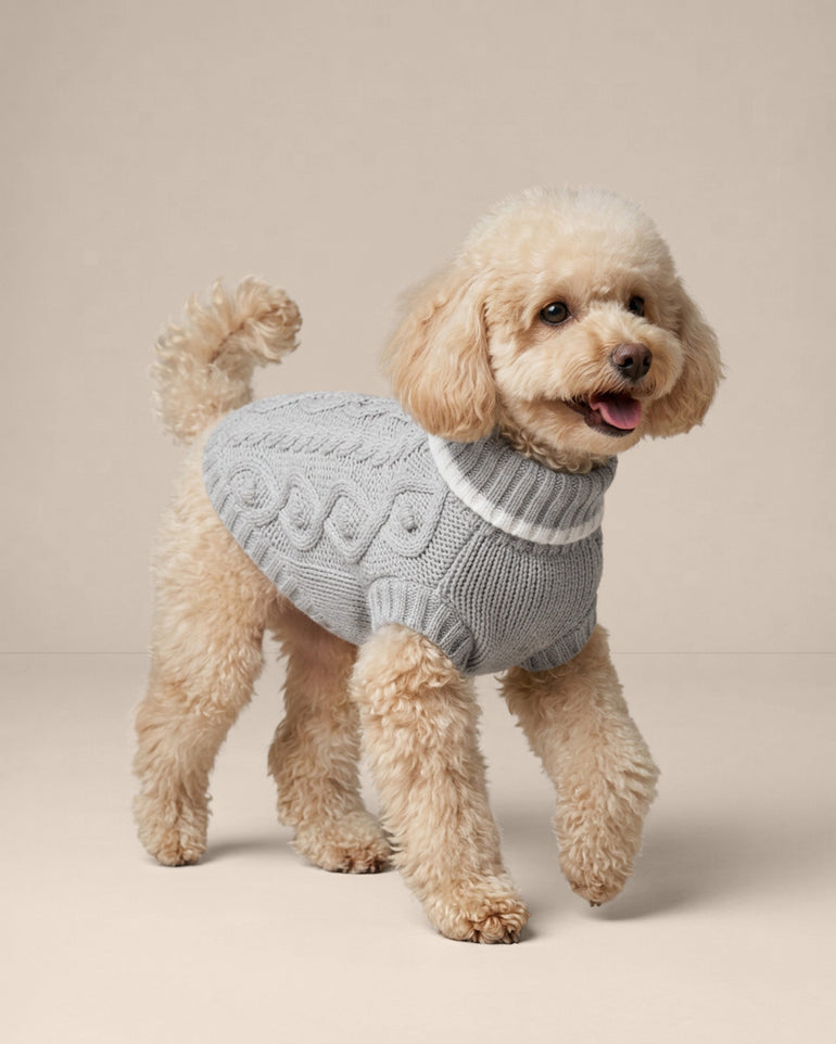 Cable Knit Dog Sweater