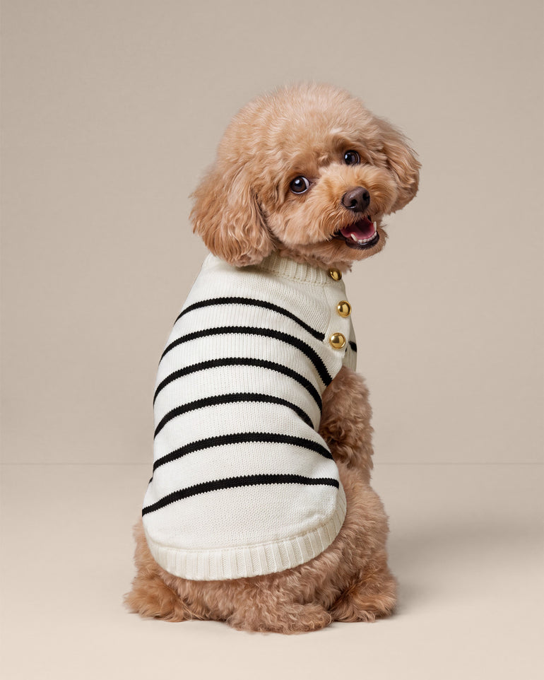 Dog Sweater in Mariner Stripe