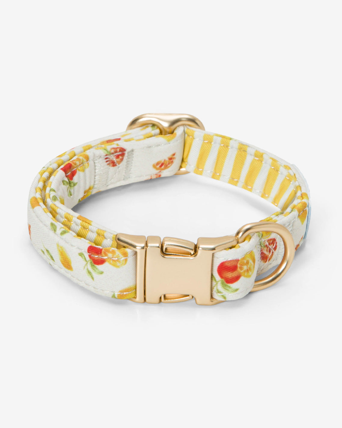 White Watercolor Citrus Collar