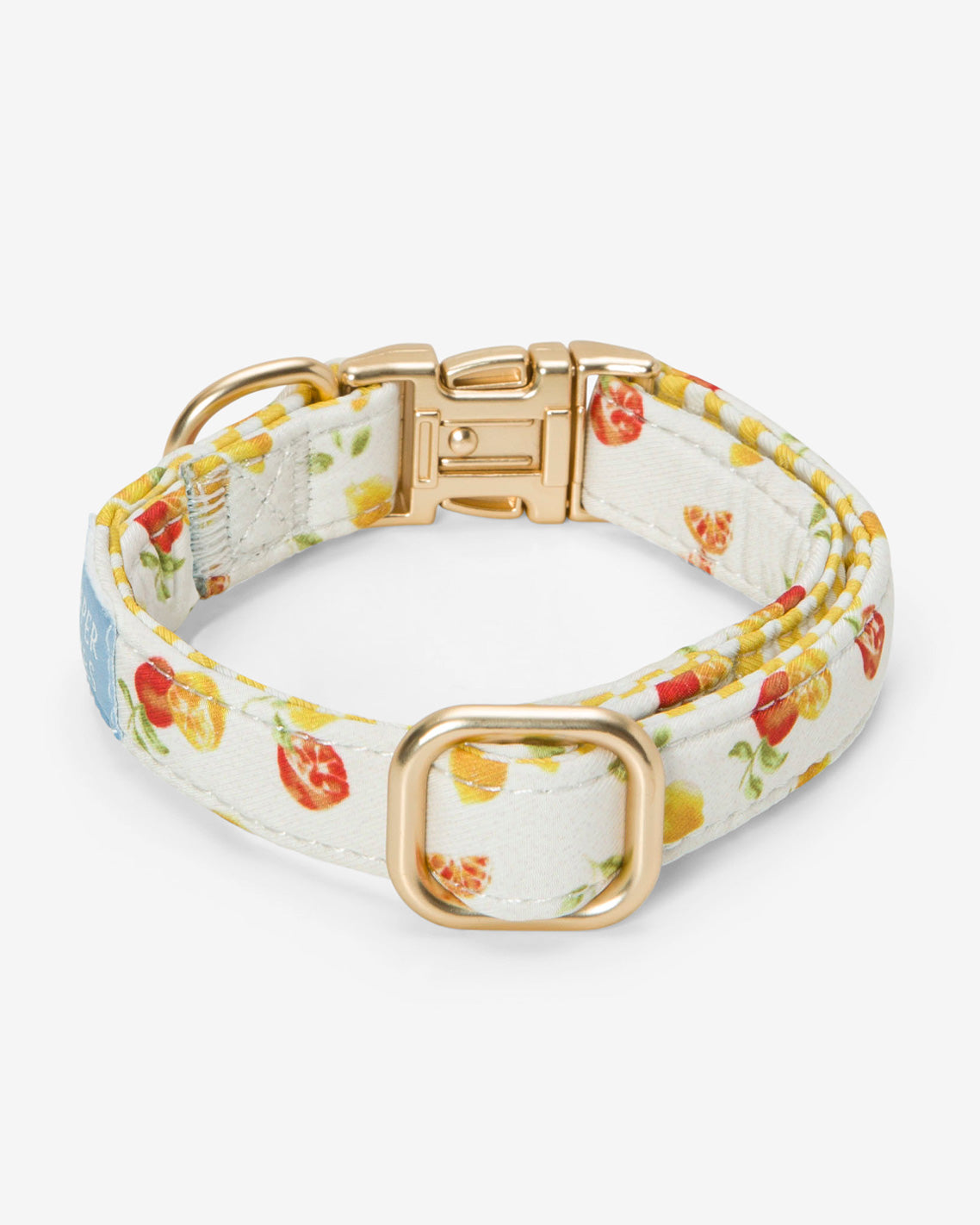 White Watercolor Citrus Collar