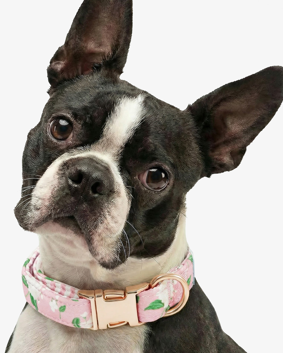 Pink Hydrangea Print Collar