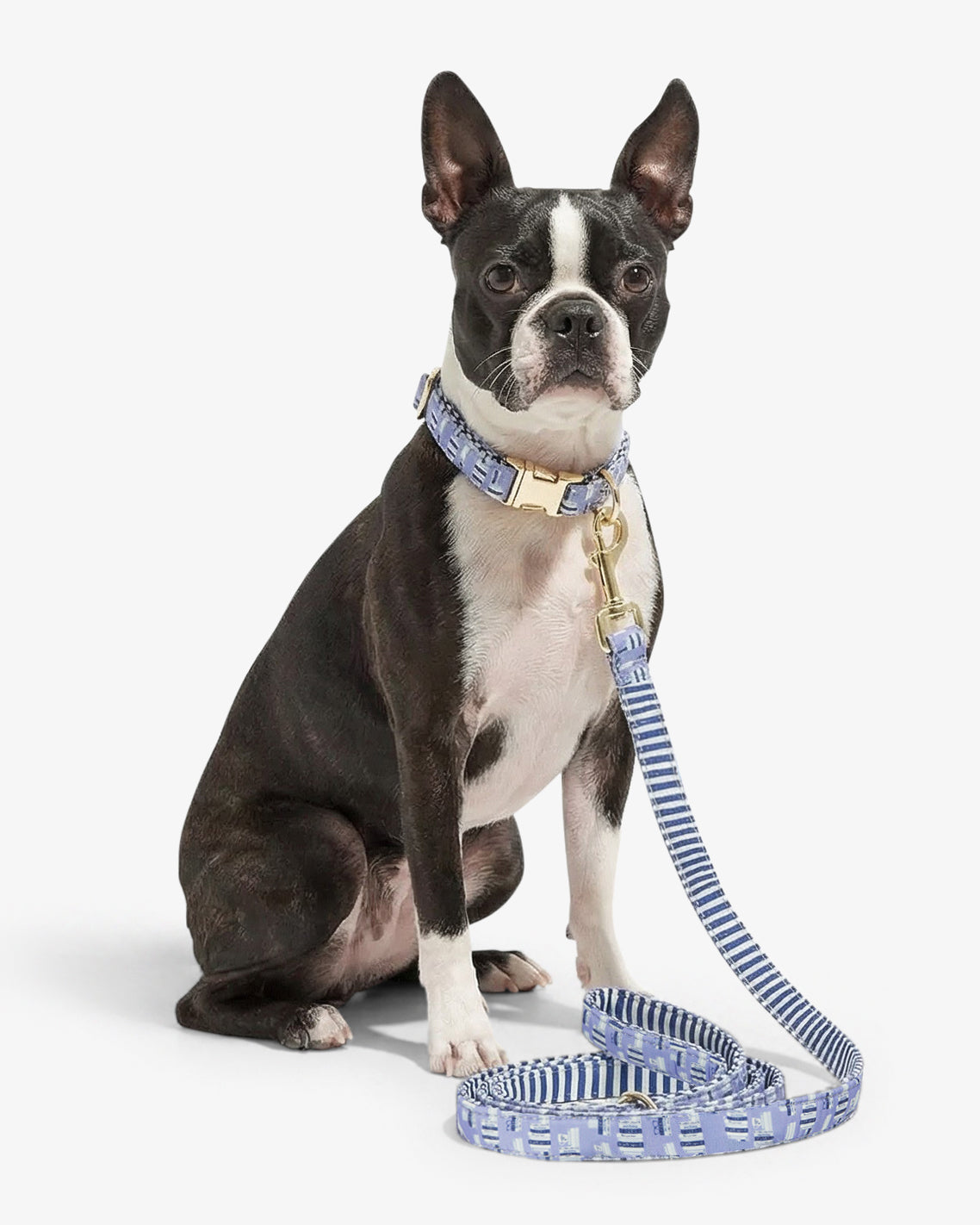 Blue Book Print Leash