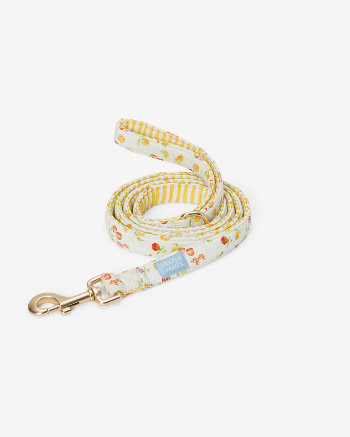 White Watercolor Citrus Leash