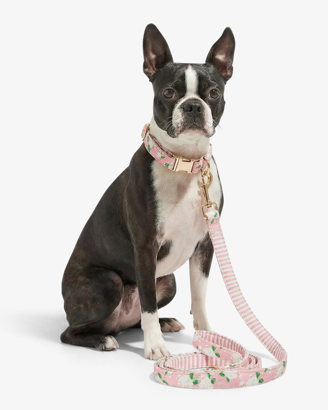 Pink Hydrangea Print Leash