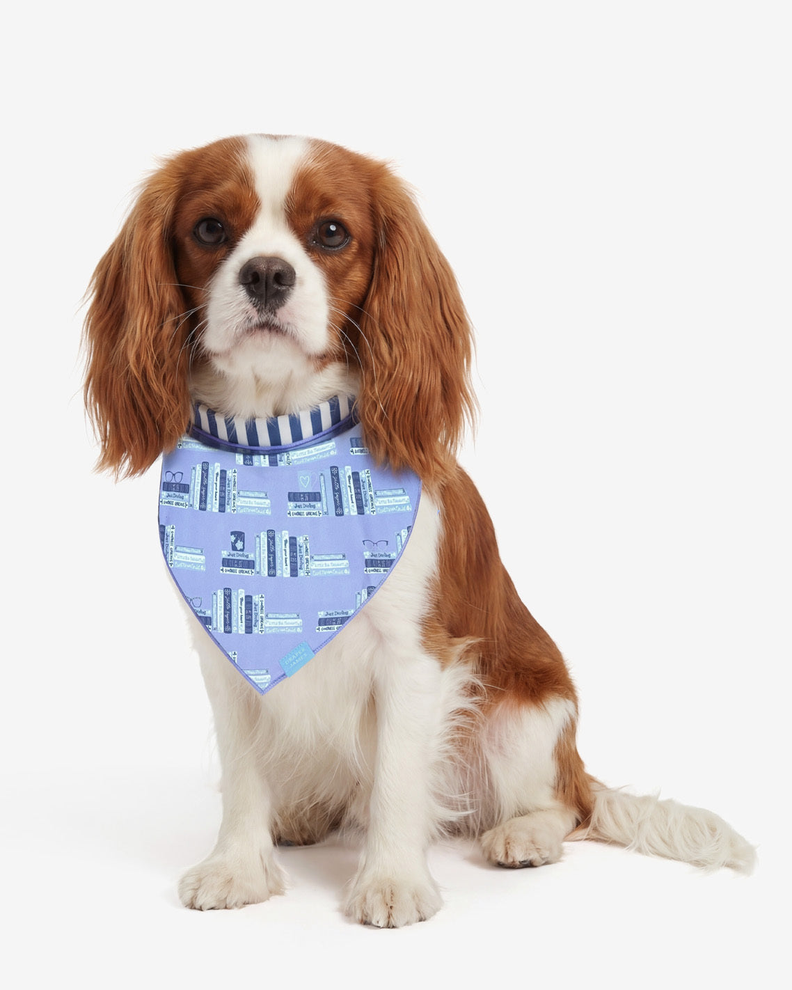 Blue Reversible Book Print Bandana