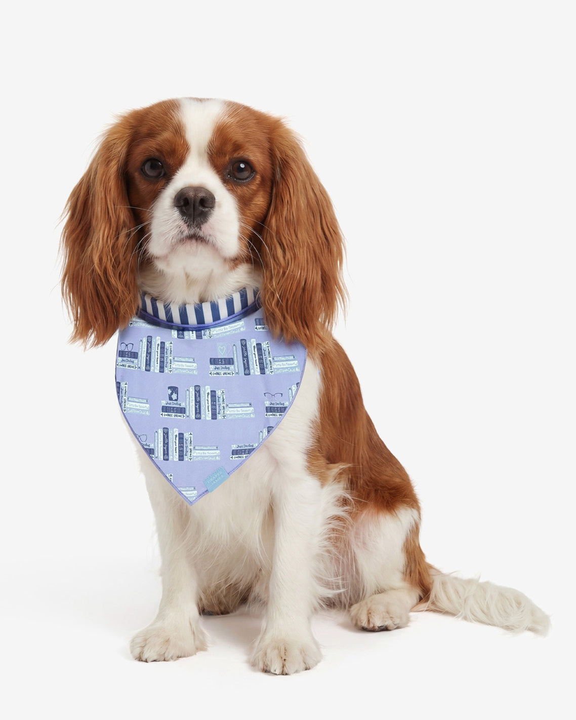 Blue Reversible Book Print Bandana