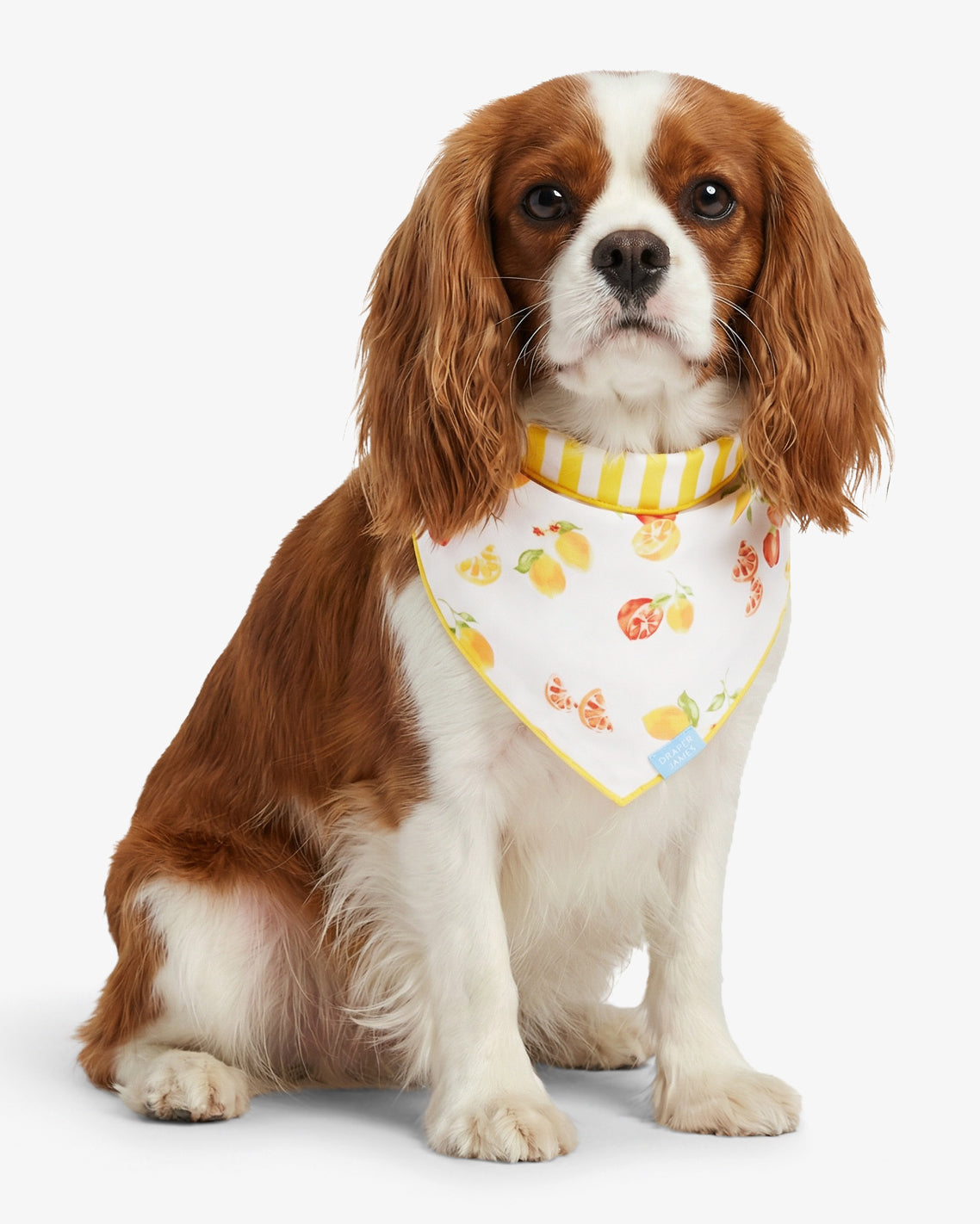 Yellow Reversible Citrus Bandana