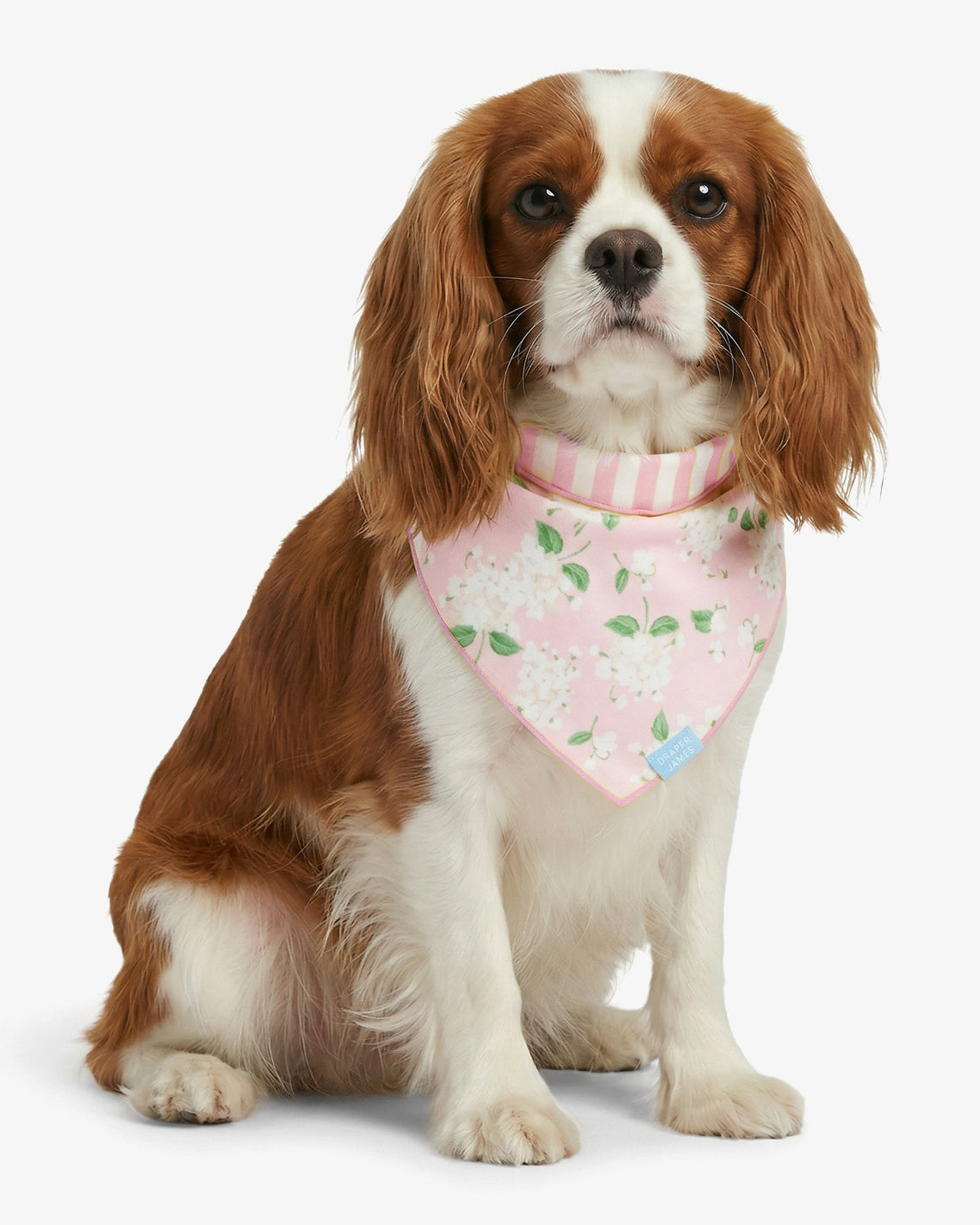 Pink Reversible Hydrangea Bandana