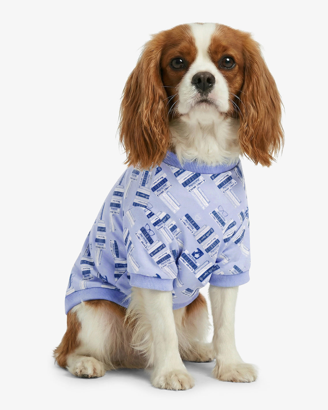 Blue Book Print Sweatshirt