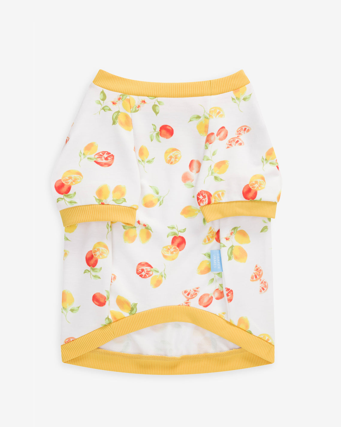 White Watercolor Citrus Sweatshirt