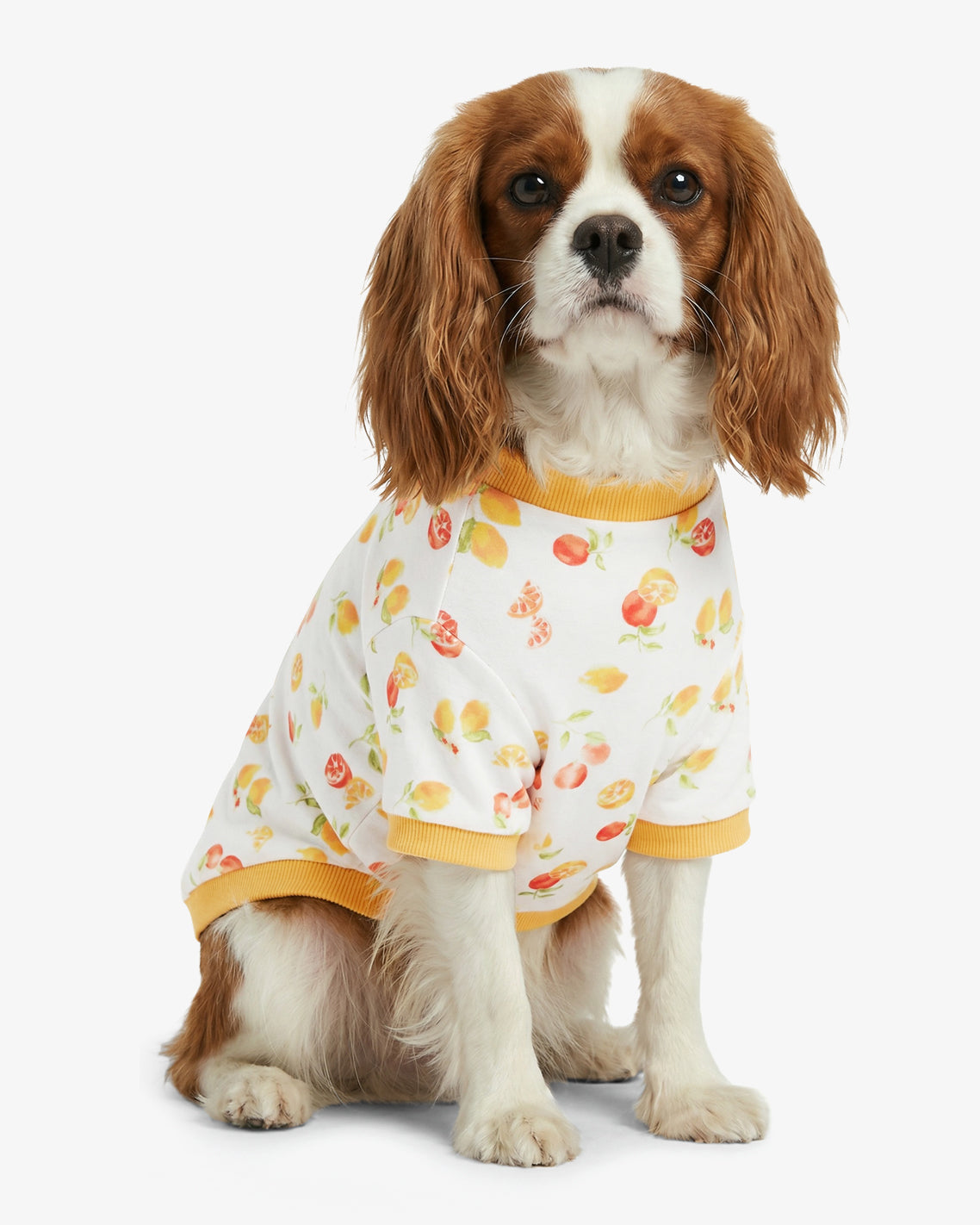 White Watercolor Citrus Sweatshirt