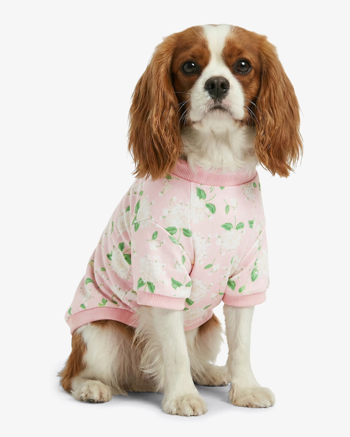 Pink Hydrangea Print Sweatshirt