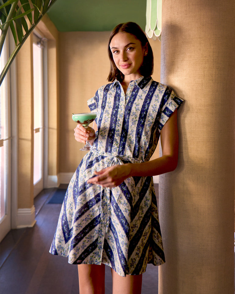 Phoebe Dress in Floral Stripe