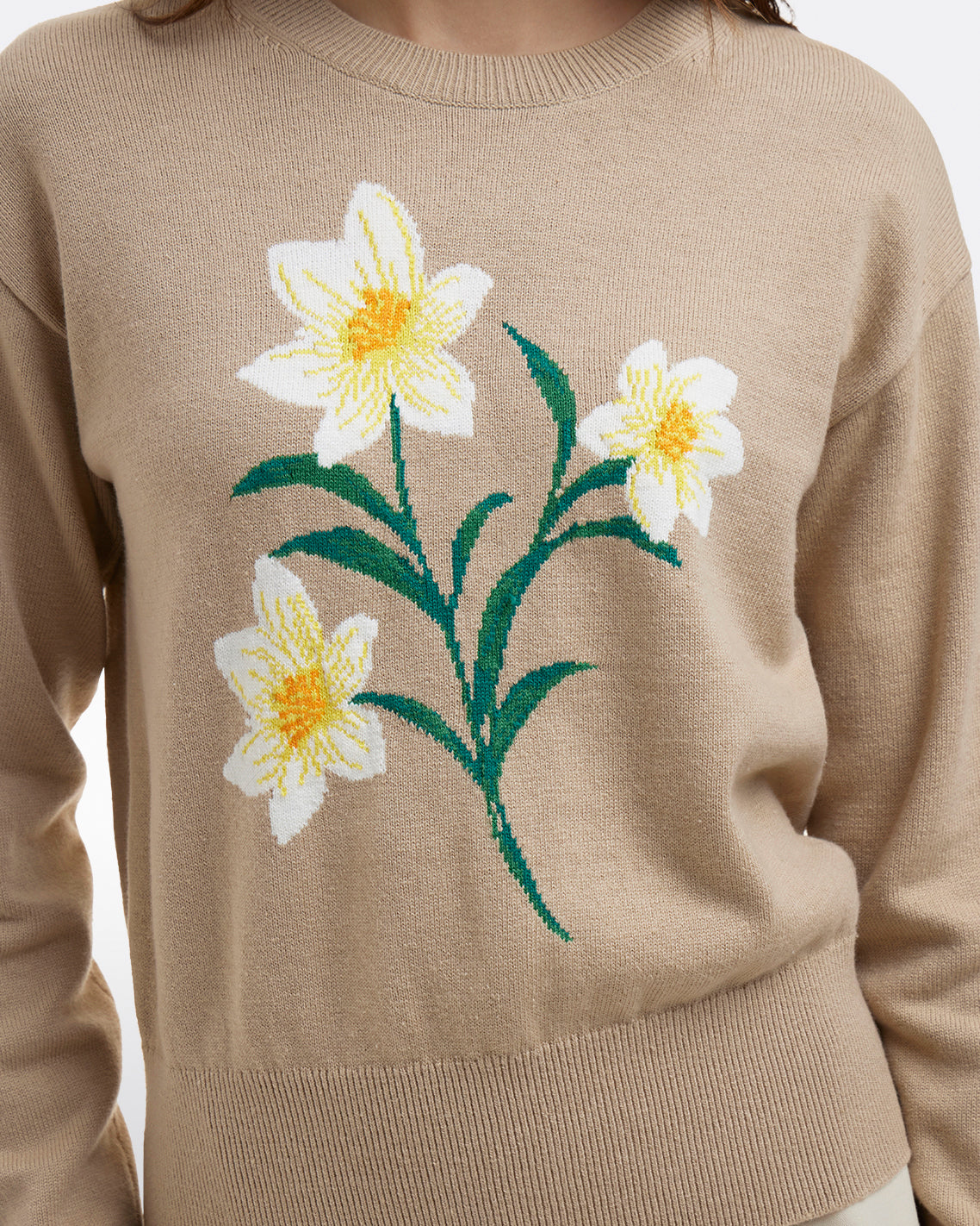 A person wears the Draper James Daffodil Crewneck Sweater in beige, featuring a large front graphic of three white and yellow flowers with green stems and leaves.