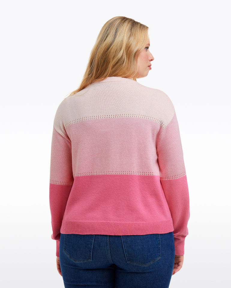 Colorblock Crewneck Sweater