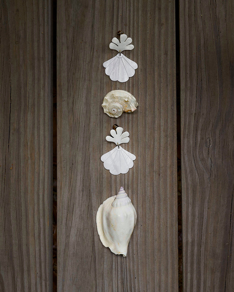 Mop Fish Drops
