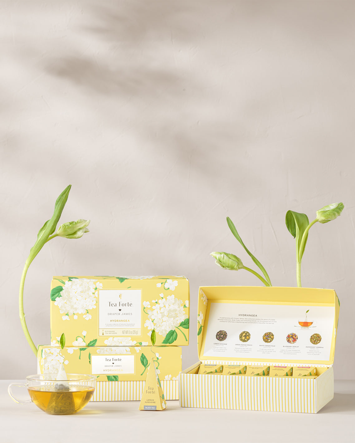 Hydrangea Presentation Box