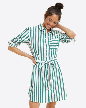 Carly Shirtdress in Bold Stripe